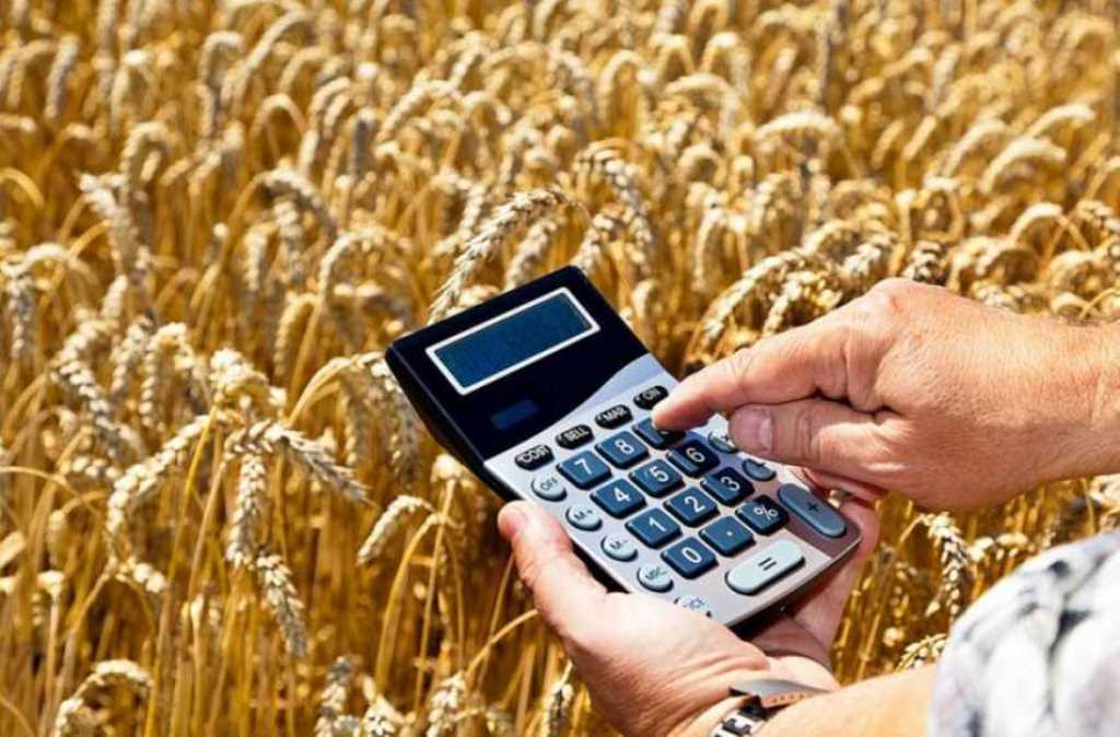  Уряд розширив напрями підтримки фермерських господарств