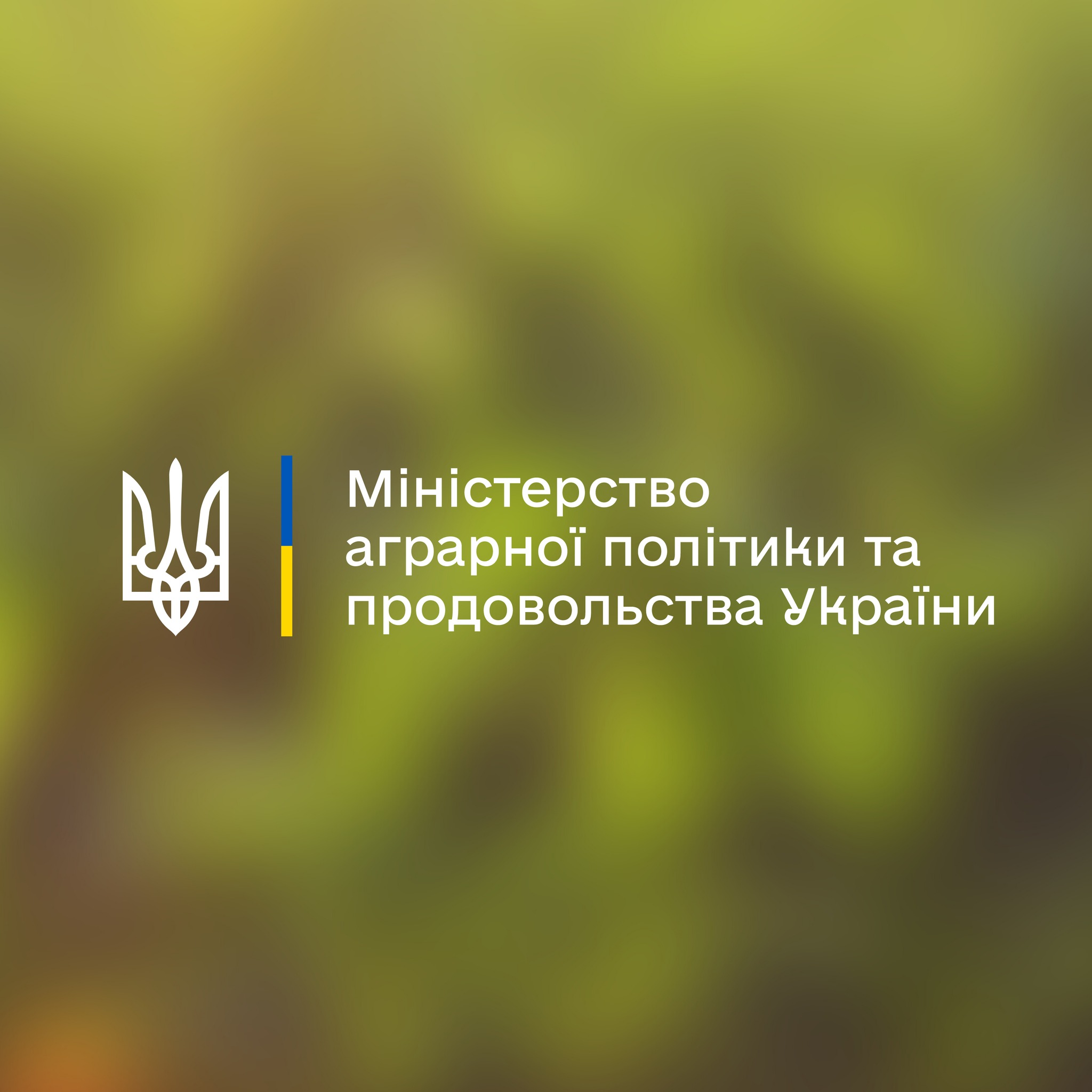 Тарас Висоцький розповів про варіанти відновлення експорту вітчизняного зерна через українські морські порти