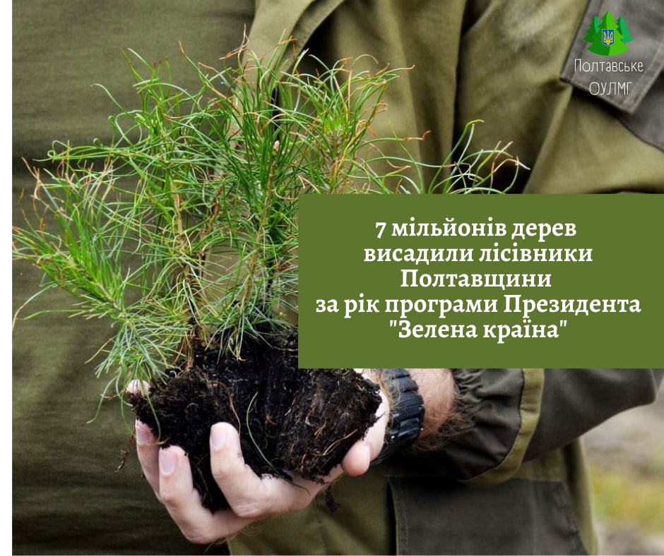 7 мільйонів дерев висадили на Полтавщині за рік програми Президента «Зелена країна»